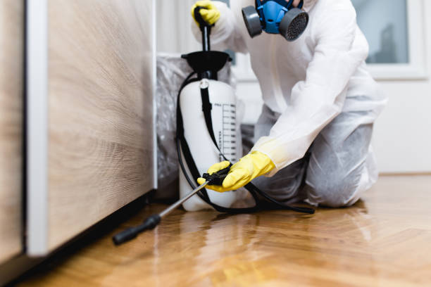 Best Pest Prevention Services  in Neuse Forest, NC