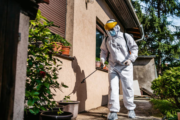 Best Termite Control Services  in Neuse Forest, NC