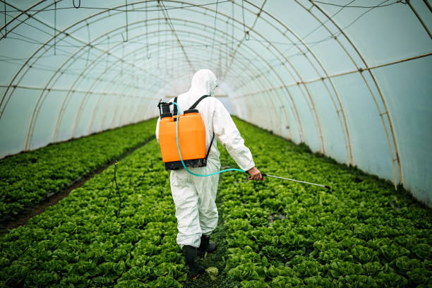 Best Pest Control for Homes  in Neuse Forest, NC