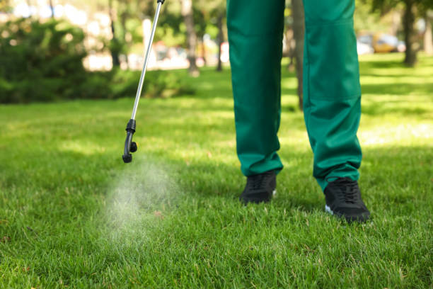 Best Local Pest Control Services  in Neuse Forest, NC