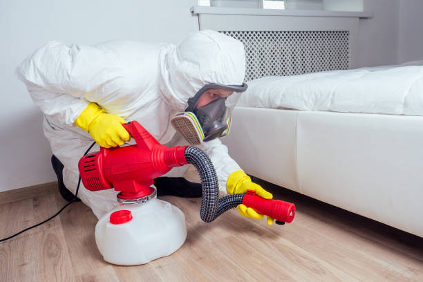 Best Local Pest Control Services  in Neuse Forest, NC