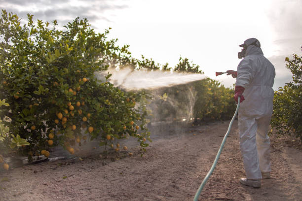 Best Commercial Pest Control Services  in Neuse Forest, NC