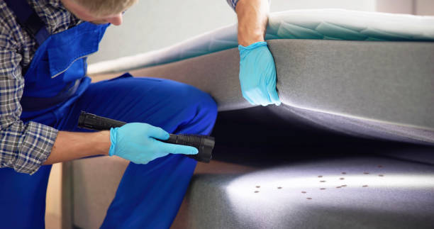 Best Mosquito Control Services  in Neuse Forest, NC