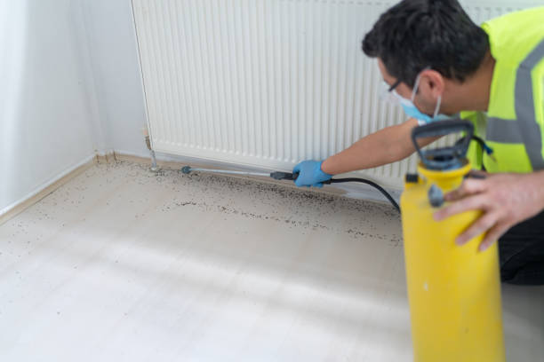 Best Pest Control Cost  in Neuse Forest, NC