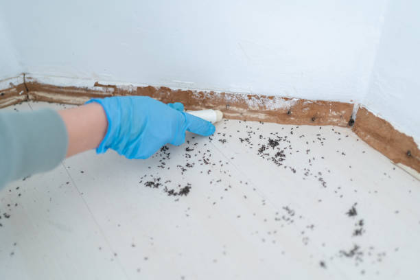 Best Pest Removal Services  in Neuse Forest, NC