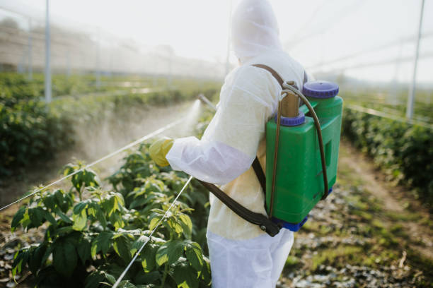Best Best Pest Control Companies  in Neuse Forest, NC
